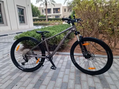 Women's LIV tempt 0 mountain bike