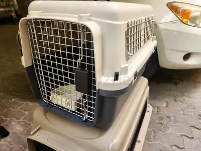 Cats and dogs carriers for air travel with metal mesh