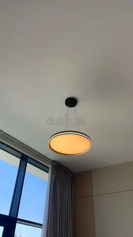 Modern Ring Chandelier Suspended Adjustable LED Hanging Lamp