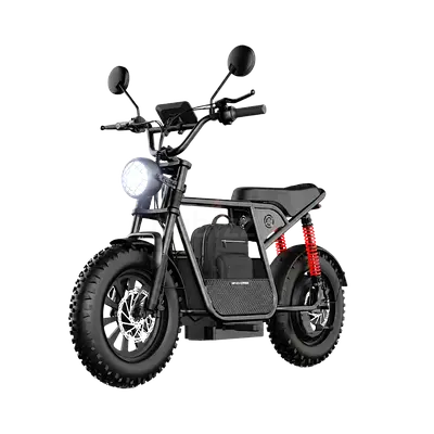 Wind Horse Electric Bike 750W 50KM Range 32KM Speed, D1 | Brand New |  Warranty | FREE  Delivery