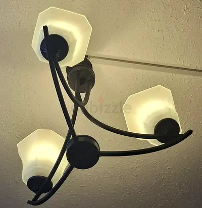 Light
