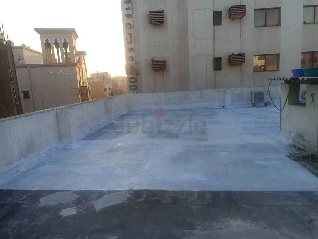 DPV_View_Image_2