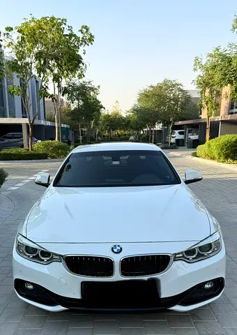 2015 BMW 4-SERIES 照片 2