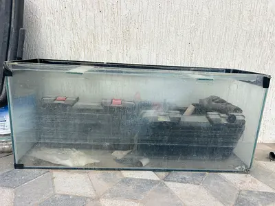 Used 100cm Glass Aquarium Tank - Needs Cleaning, No Stand