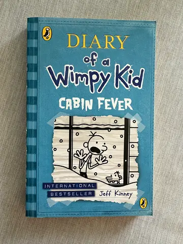 Diary of a Wimpy Kid book - Cabin Fever