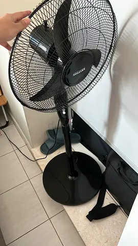 Fan
