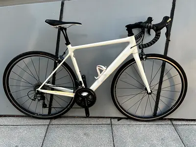 Canyon Endurace CF