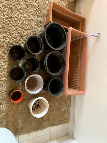 Collection of assorted plant pots and planters — used