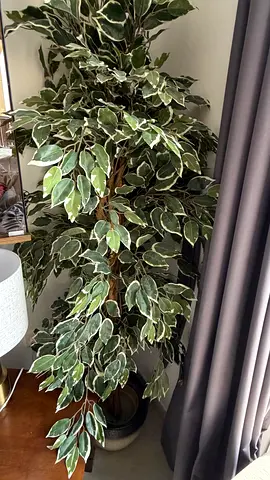 Artificial Variegated Ficus Tree