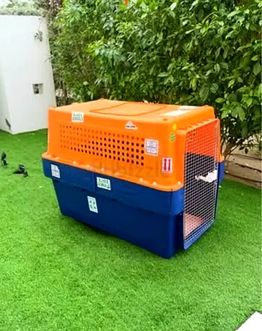 Dogs carriers for air travel 131 Leanth