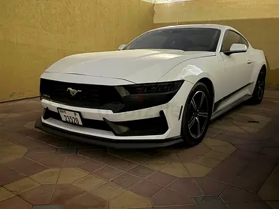 Ford Mustang Ecoboost Fastback 2024 American Specs - Pristine Condition