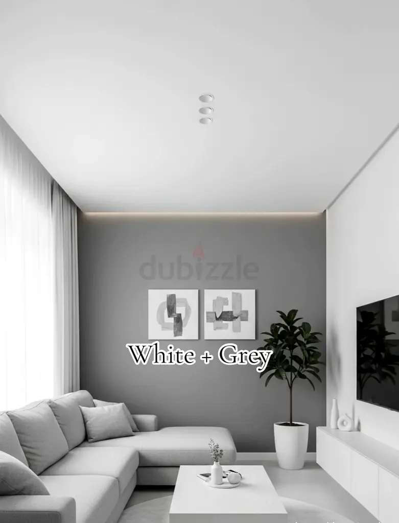 DPV_View_Image_1