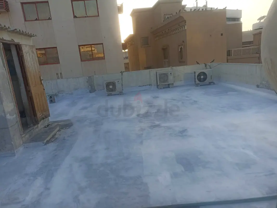 DPV_View_Image_4
