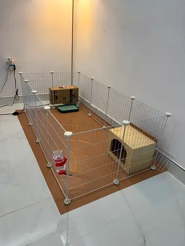 RABBIT / HAMSTER CAGE PLAYPEN