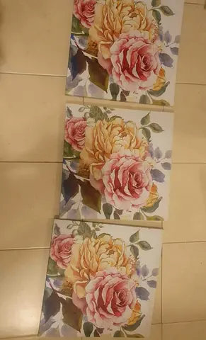 Serious buyers - 40 cm x 40 cm wall art 3 pieces