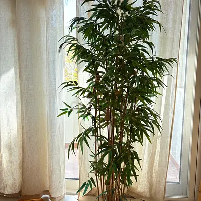 Artificial Bamboo Plant