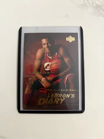 LeBron James Collector Card (The LeBrons Diary) - Near Mint