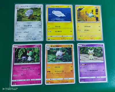 Lot of 24 Japanese Pokémon Cards in Sleeves — Clay Artist Yuka Mori