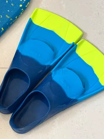 Flippers