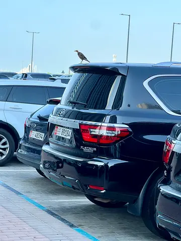 صورة 7 لـ 2010 Nissan PATROL