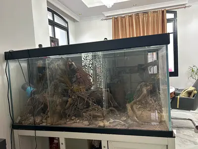 Fish tank