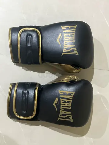 Everlast Powerlock boxing gloves