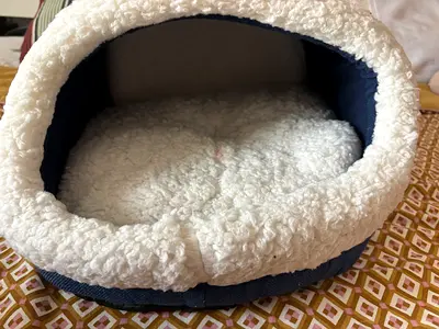 Soft cozy cave pet bed (small/medium) - never used