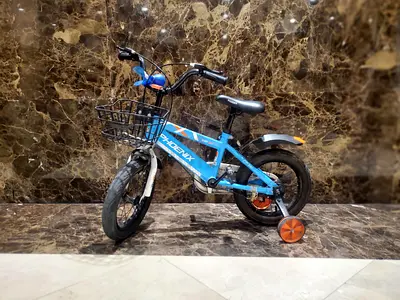 Phoenix 18-inch Kids Bicycle with Training Wheels – Blue” 🚲