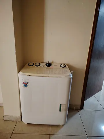 Compact Twin-Tub Washing Machine - Good Working Condition