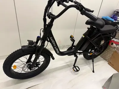 Lucky Liang Lucky Liang U03 Electric Bike