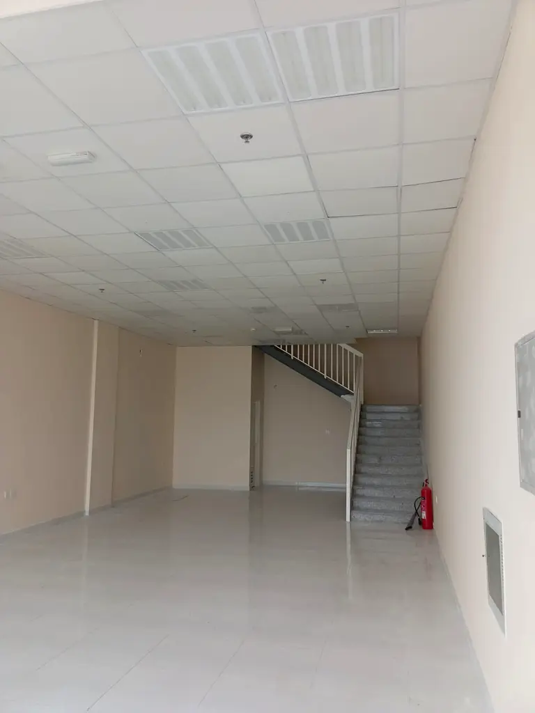 gallery-image