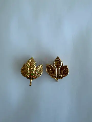 Gold earrings