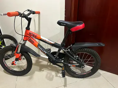 Phillips MTB16 Kids Mountain Bike