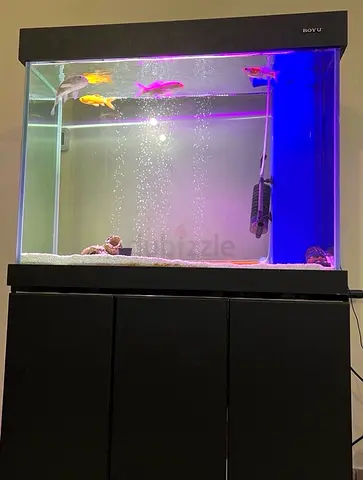 Aquarium