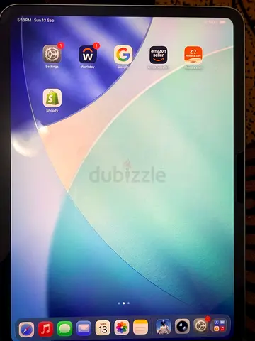 iPad m4 11 inch 256 GB Wifi only