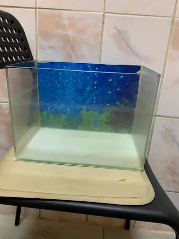 Small Glass Aquarium Tank - Empty, Good Condition