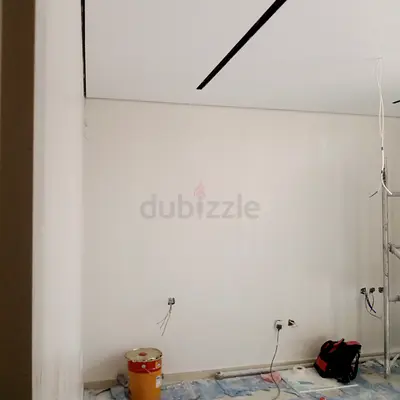 Professional Wall Painting & wallpaper, fix, repair, touch-up ,wall papers,Office Painter, Services