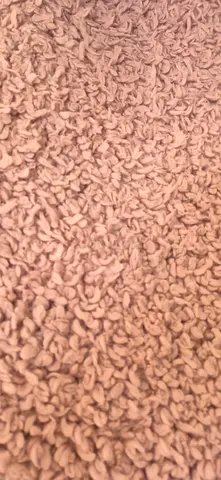Beige shaggy area rug - soft high-pile carpet (used) Cheap! Only used a bit