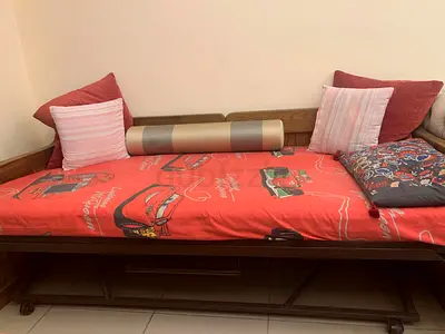 Diwan Sofa Cum Bed