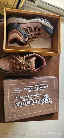 Pit Bull Safety shoes