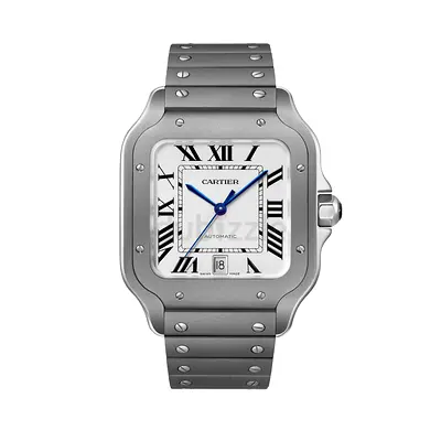 Cartier Santos Large Titanium WSSA0089 - Mint