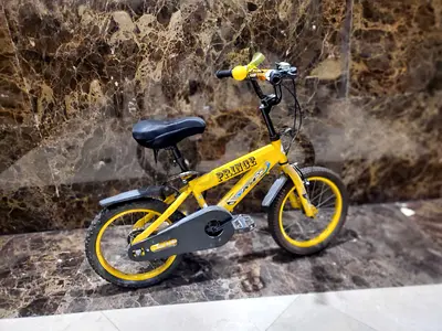 20-inch Yellow Prince Kids Bicycle – Good Condition”