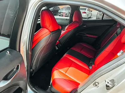 2022 Lexus UX-SERIES 照片 13