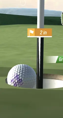 Big Bertha Irons