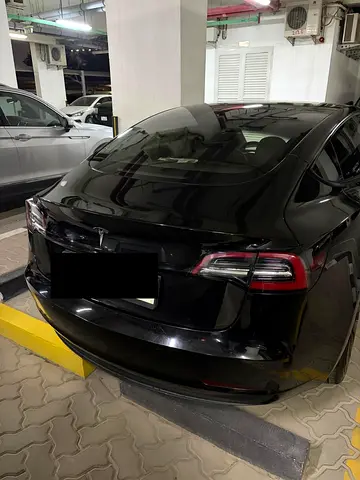2021 Tesla MODEL 3 照片 6