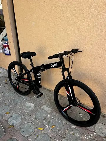 Folding Bicycle