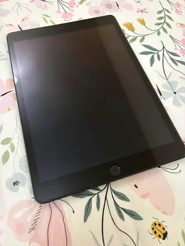 iPad 9th Generation (2021) 256GB, WiFi + Cellular
