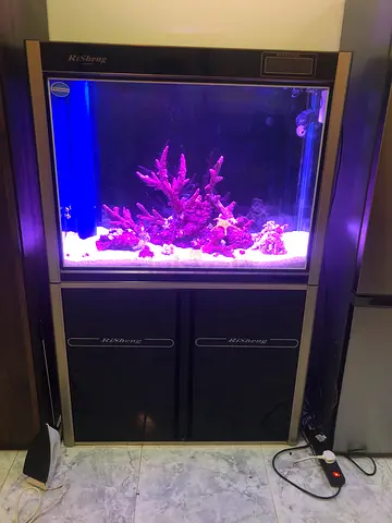 Used full setup Marine Aquarium Tank with Live Rock, sump, protein skimmer and LED (100cm)