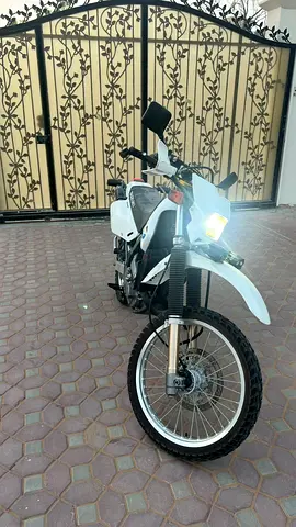 Suzuki DR650