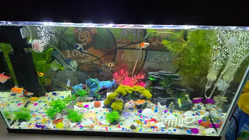 120L Glass Aquarium Tank with Filter, LED Light and Decorations